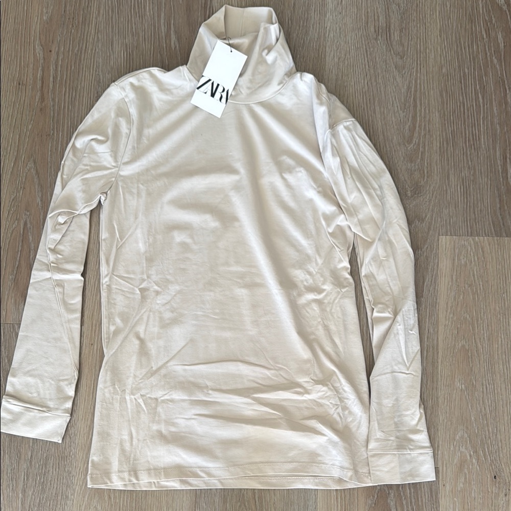 Zara Men's Long Sleeve Turtleneck in Light Beige